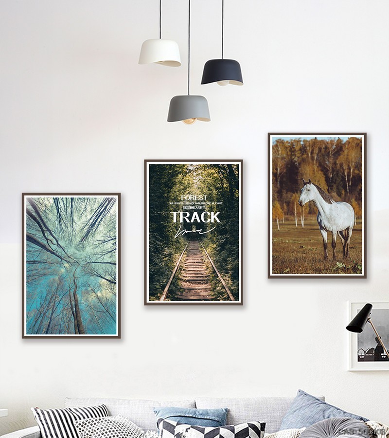 Động vật CA3-503KG